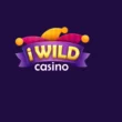 iwild casino